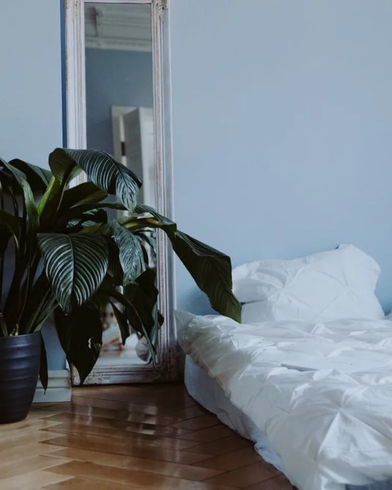 Tall leaning floor mirror beside a bed in a blue bedroom with a large plant