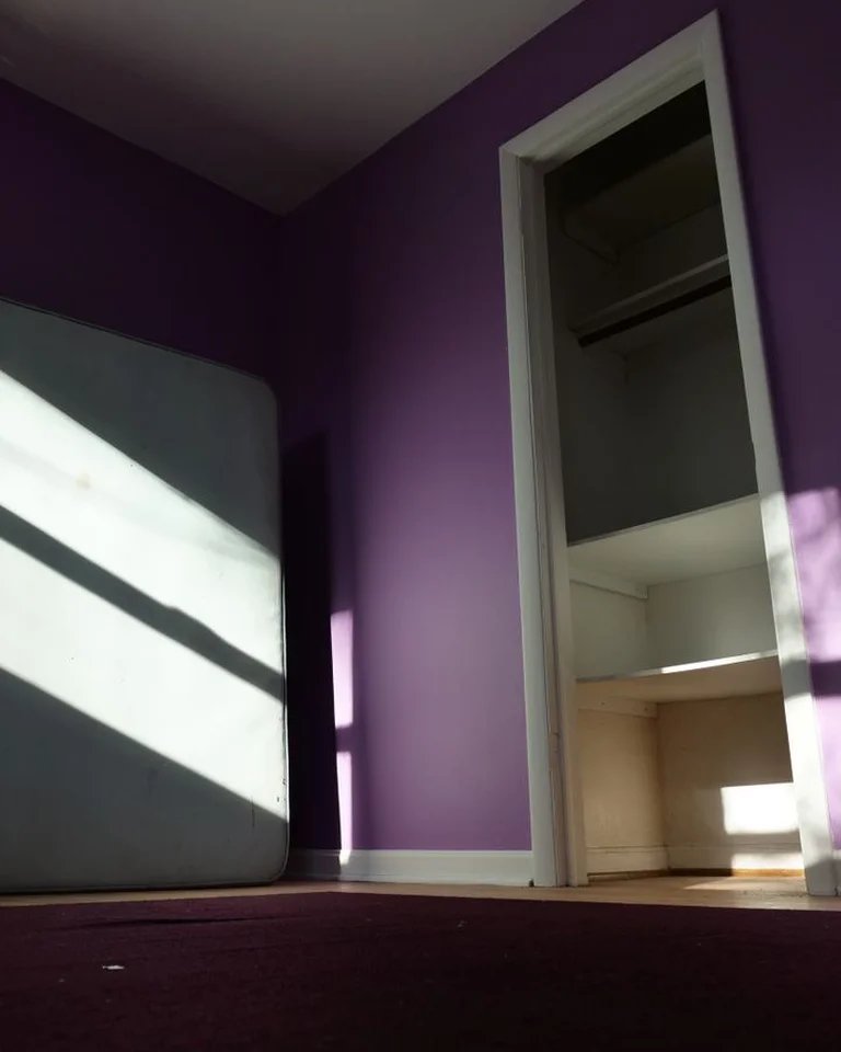 An empty bedroom with purple walls and an open closet, ready for layout planning