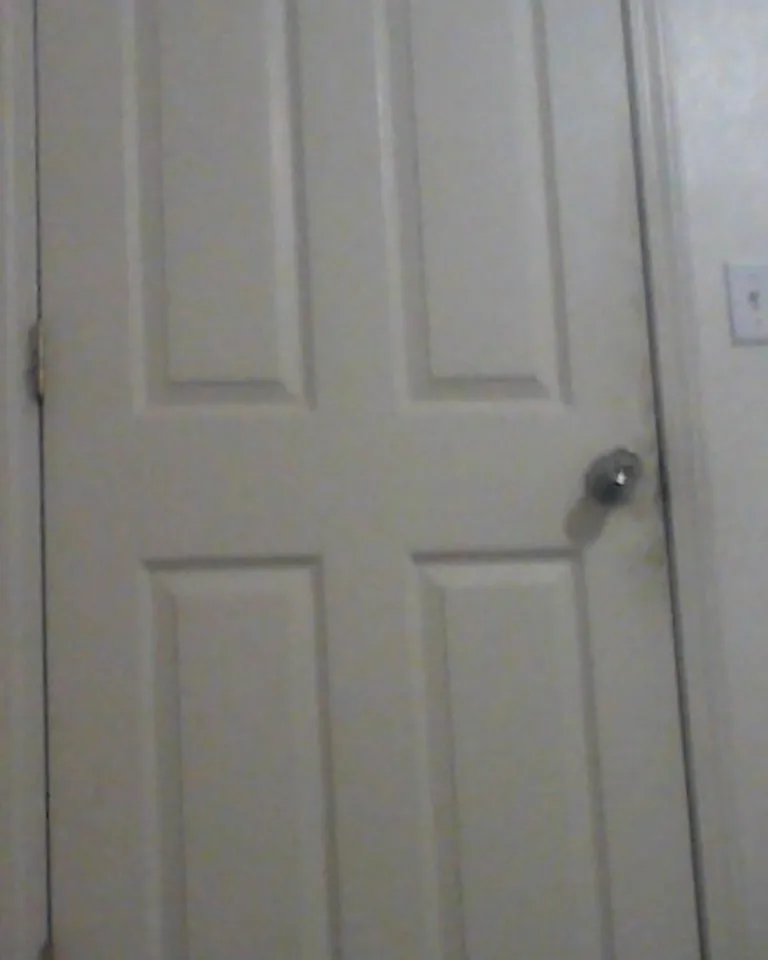 Plain white interior bedroom door