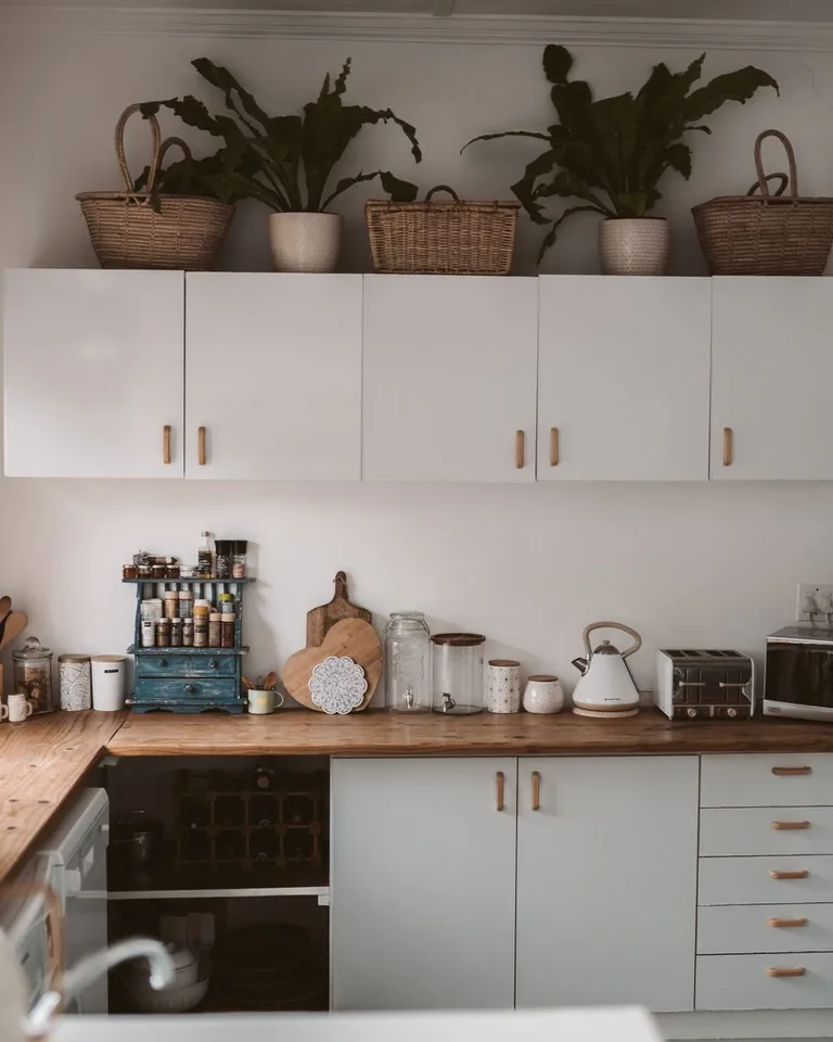 Stylish kitchen interior with cabinets, appliances and indoor plants