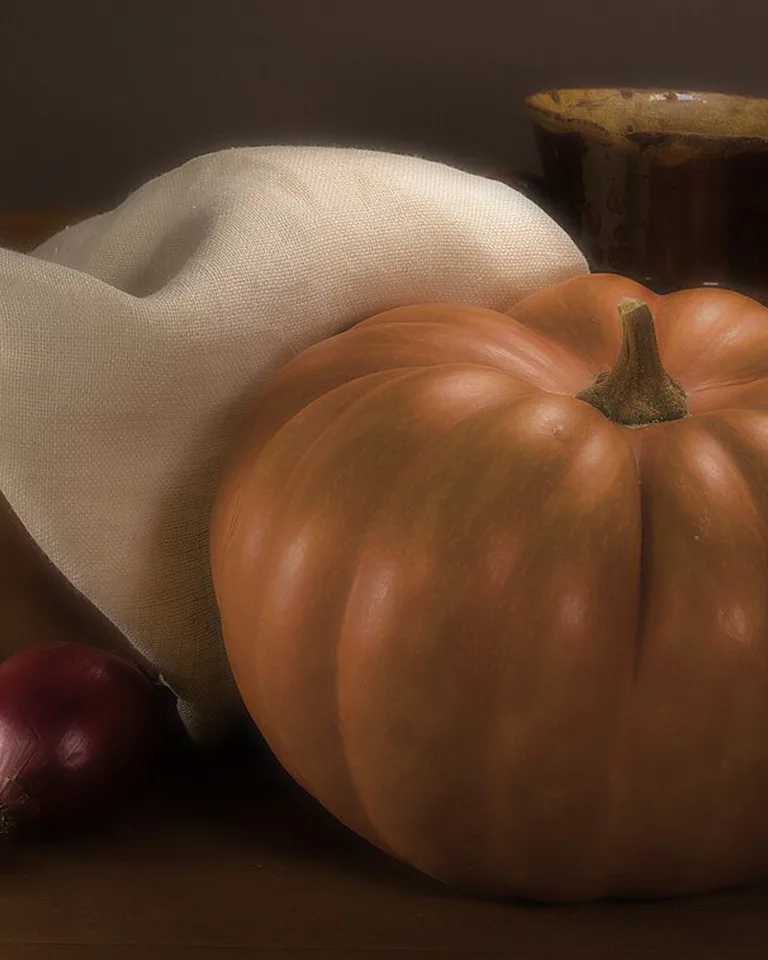 Pumpkins arranged in a still life