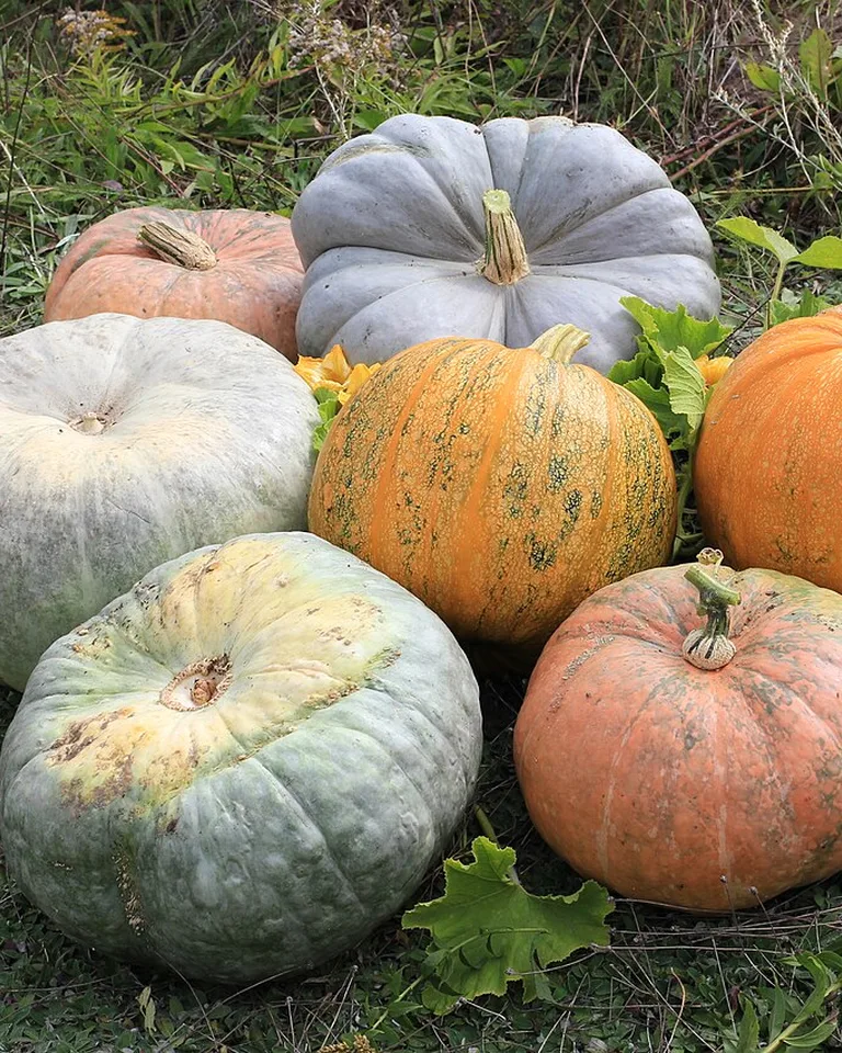 12 Fall Front Porch Decor Ideas That Make Your Entry Feel Welcoming