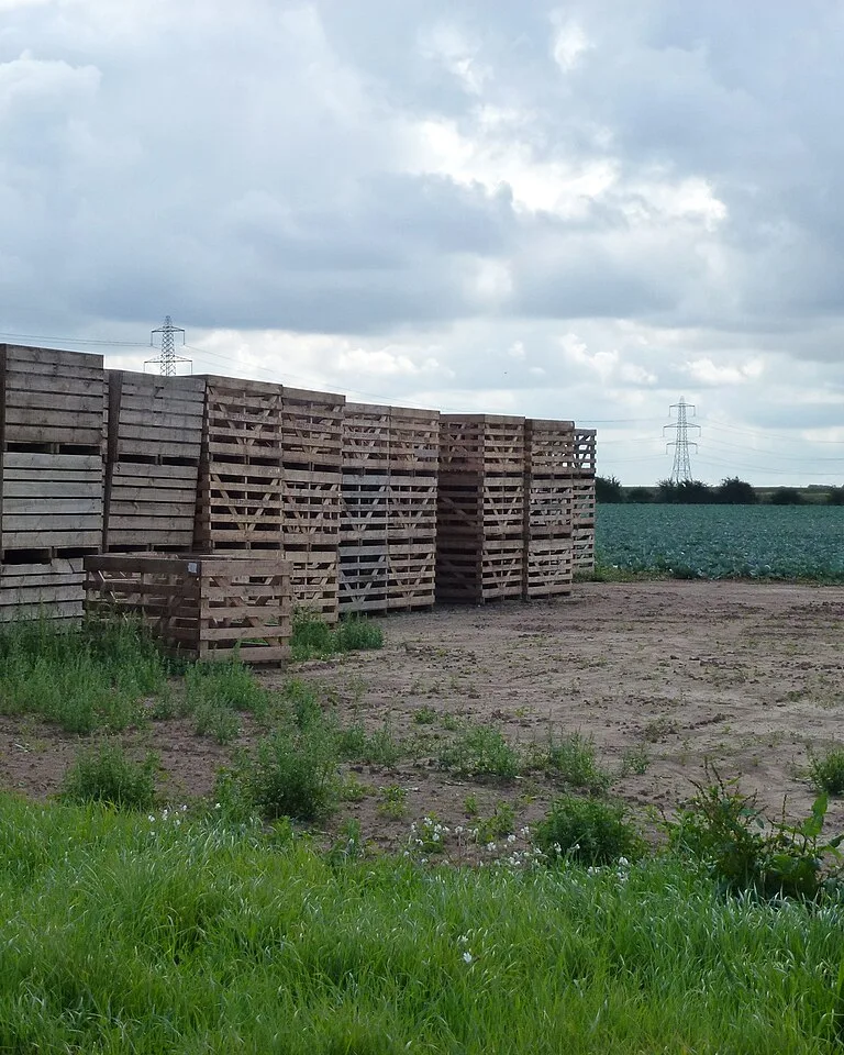 Wooden crates and pallets stacked outdoors