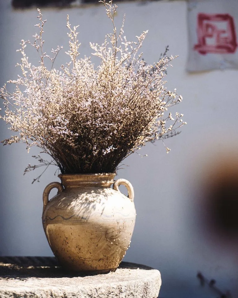 Rustic terracotta vase filled with dried flowers