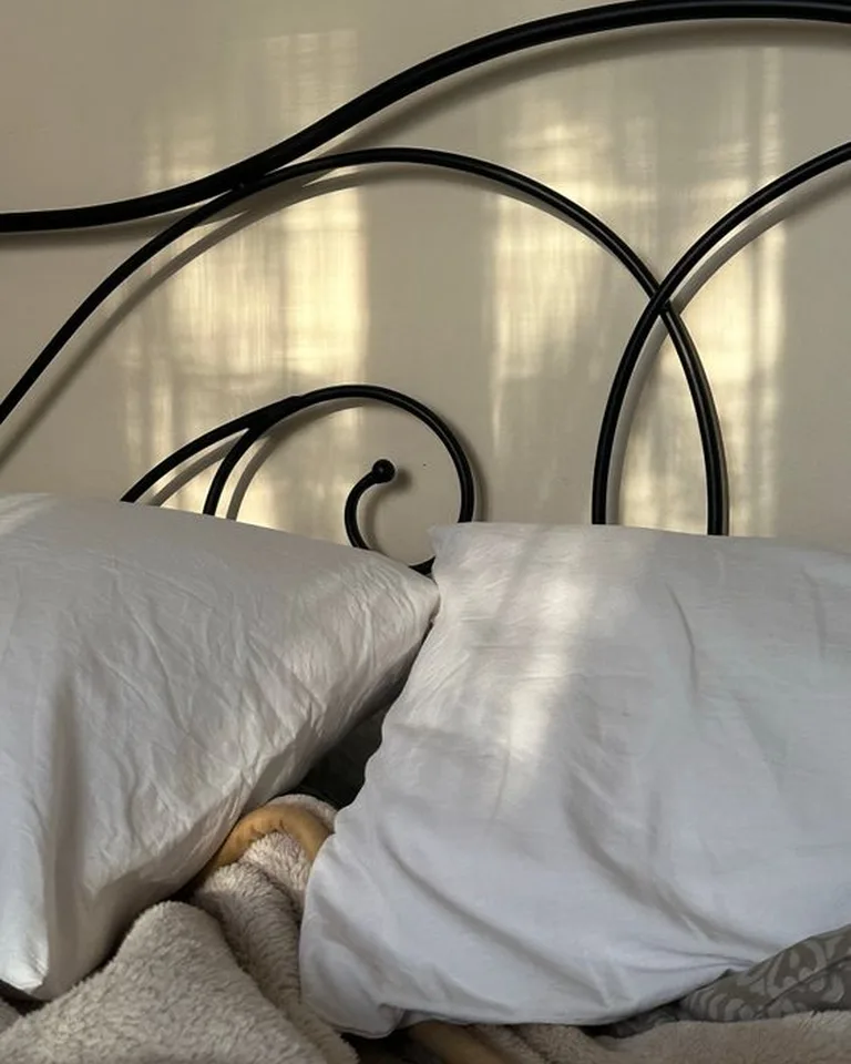 Wrought iron bed frame with elegant curved headboard