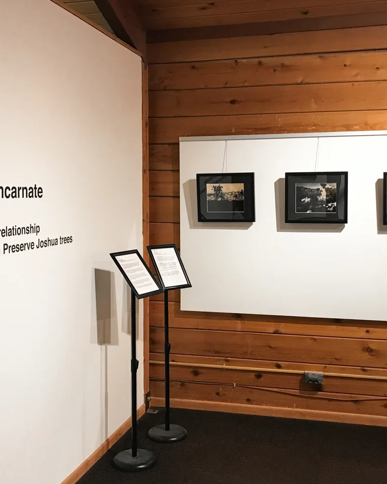 Gallery wall of framed art in an exhibition hallway