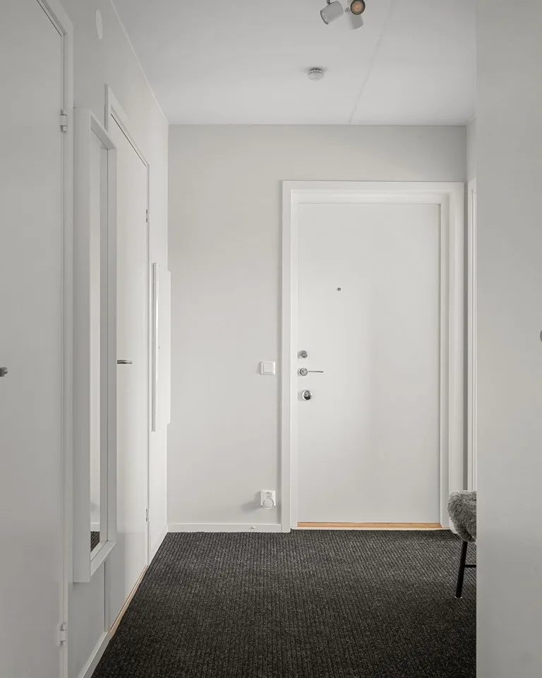A simple entry zone in an apartment hallway with a dark rug in front of the door