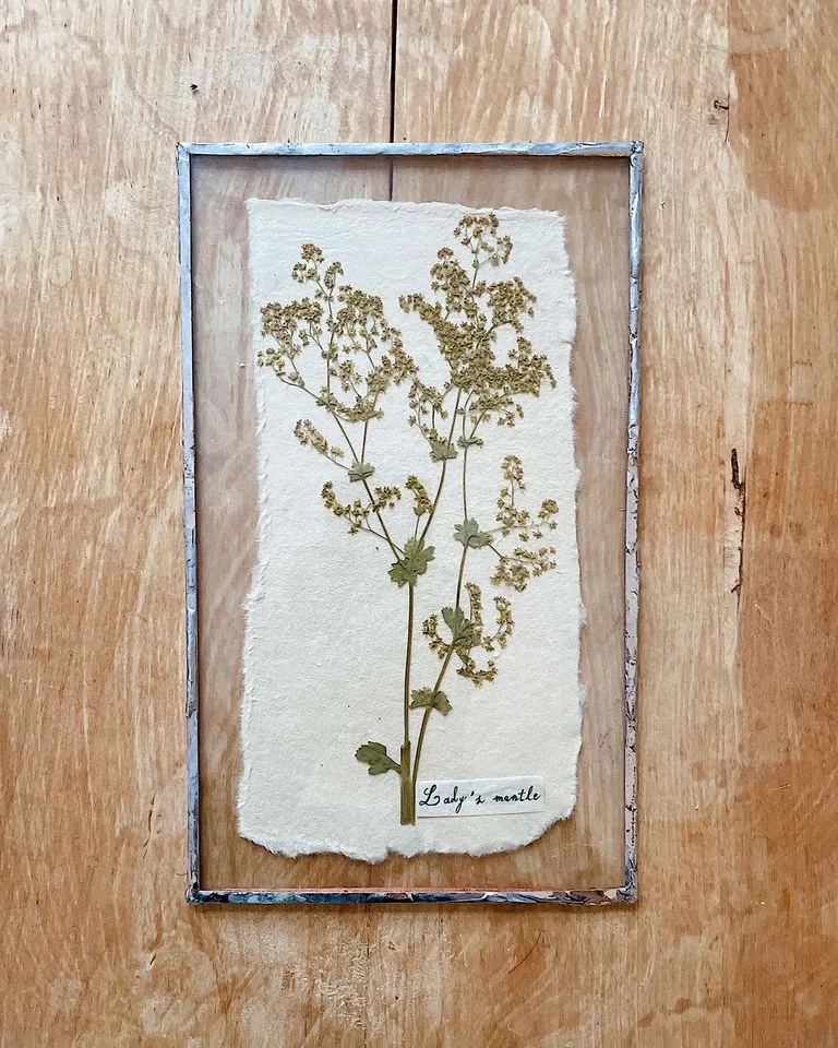 Framed botanical art prints arranged on a bedroom wall
