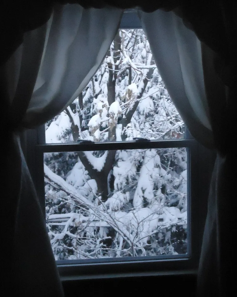 Sheer curtain softening a bedroom window