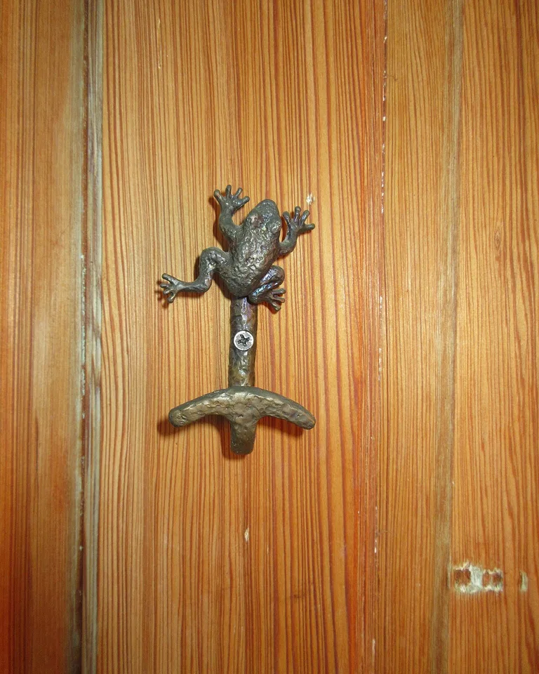 Coat hook mounted on a door