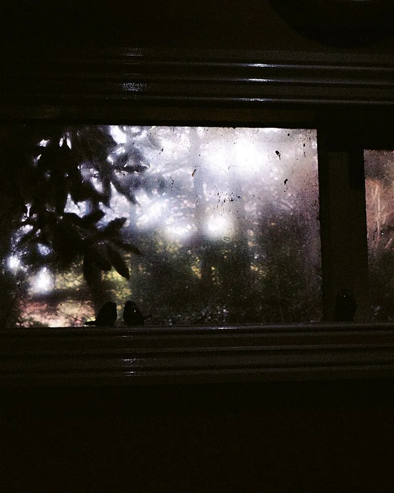 Textured Roman shade softening a kitchen window