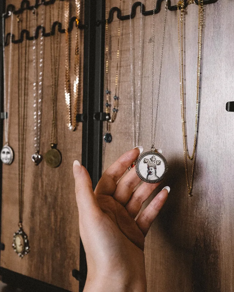 Necklaces hanging on the hooks of a jewelry organizer