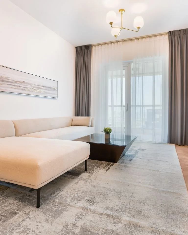 Patterned area rug defining a seating zone in an apartment