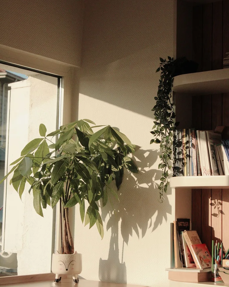 Small reading nook with an armchair tucked into a corner
