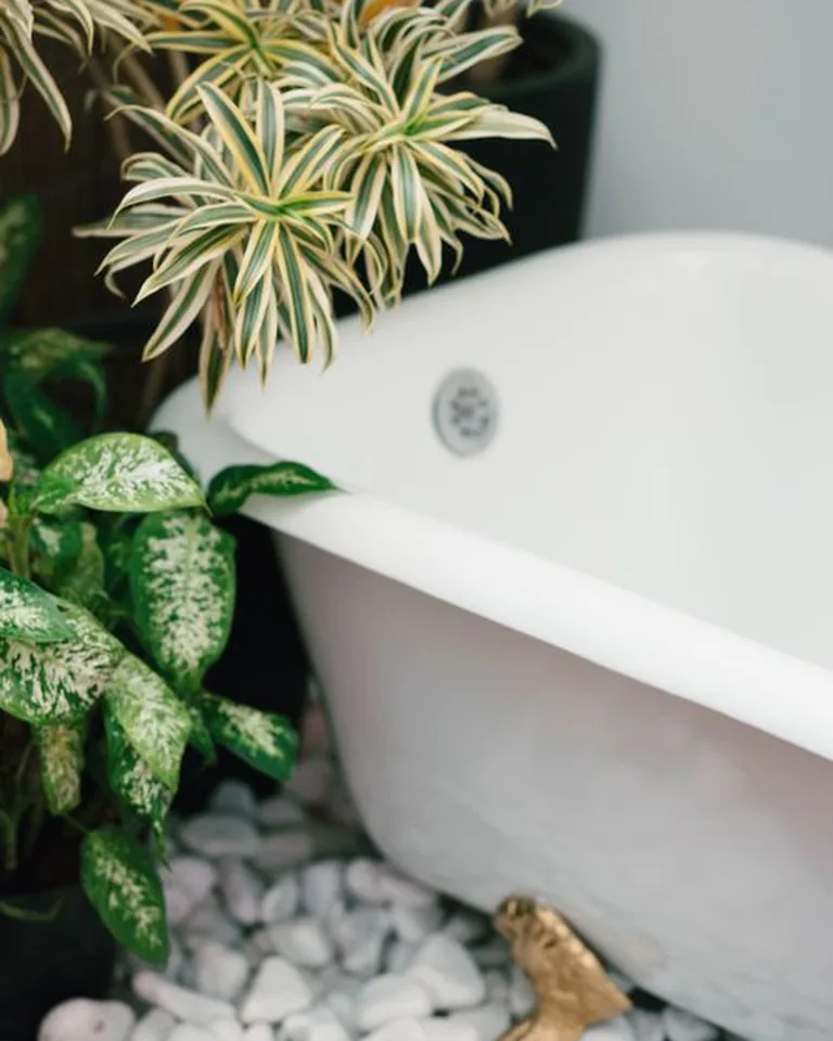 Potted green plant styled on a bathroom vanity corner