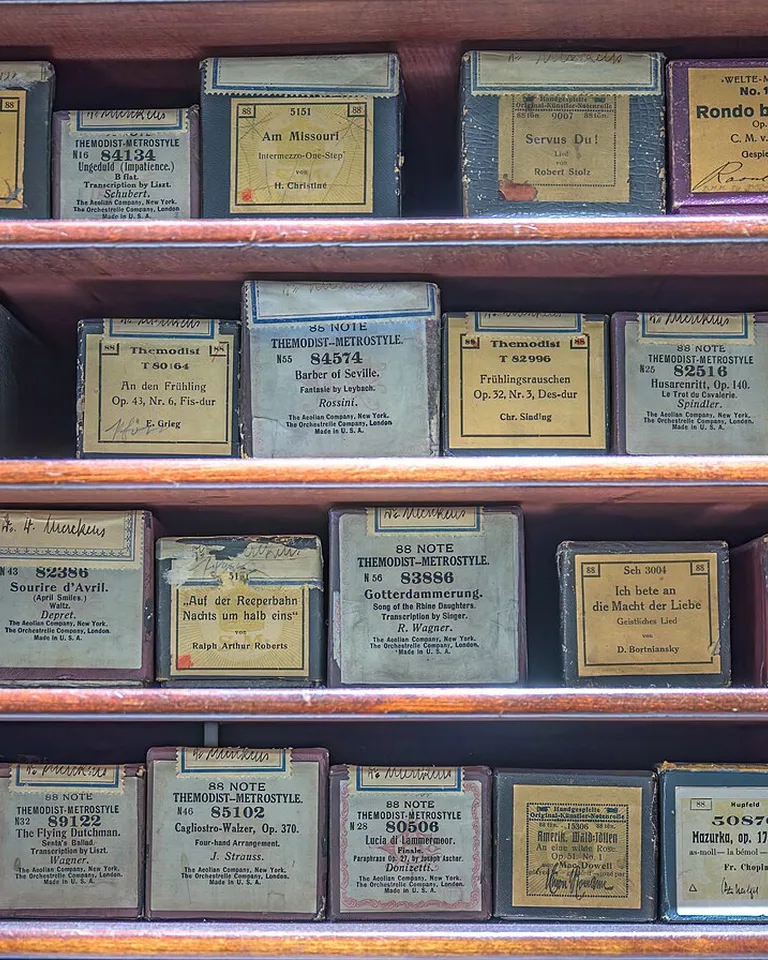 Labeled small boxes organized neatly on wooden shelves