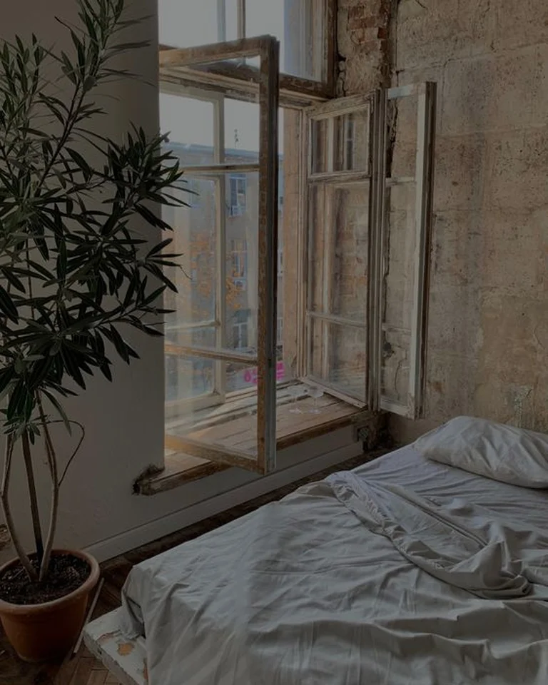 A tidy small bedroom with plants and soft natural light