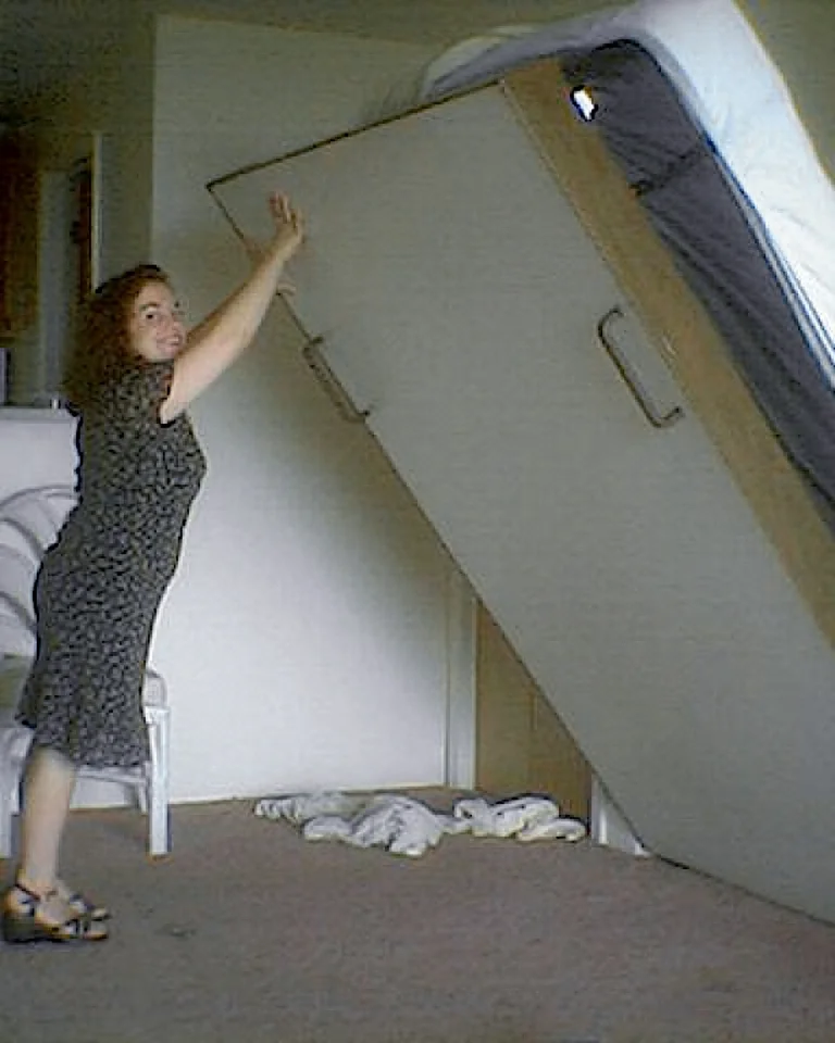 A wall bed folded up into a cabinet with shelves beside it in a studio apartment