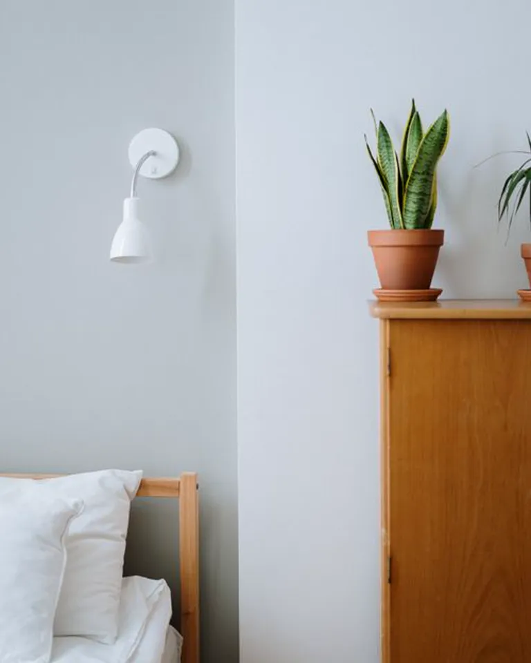 Small potted plant and vase with greenery on a dresser