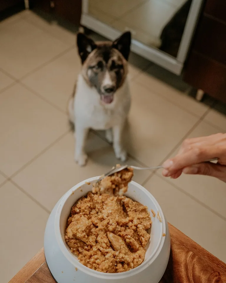 Ceramic pet bowls on a wooden stand with a mat