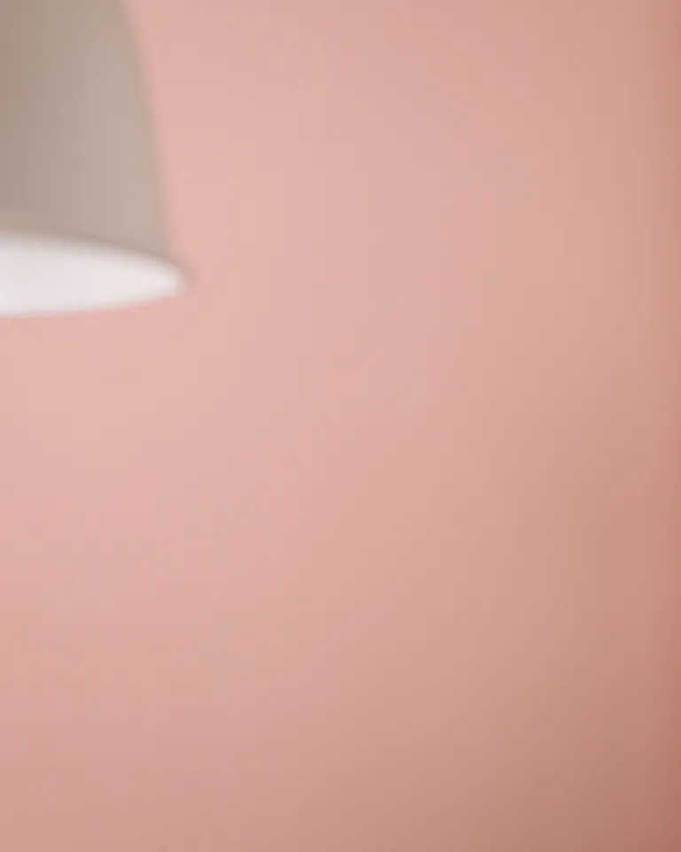 Blush pink accent wall with a stylish floor lamp beside it